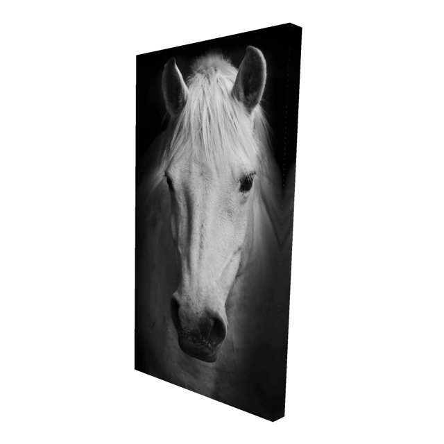 Cheval Monochrome - Toile 24"x48 Pouces - Impression à la Demande