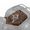 Camouflage Buck Deer, variant on Chririnla Four-Wheeler Seat Covers for Forest Hunting, Tear Resistant Waterproof ATV Seat Cover, Black Red Dragon Water Pattern