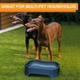 thumbnail image 6 of Neater Pets Big Bowl for Dogs - Great for Multi-Pet Households - Extra Large Plastic Trough Style Food or Water Bowl for Use Indoors or Outdoors, Dark Blue, 1.25 Gallon (160 Oz.), 6 of 11