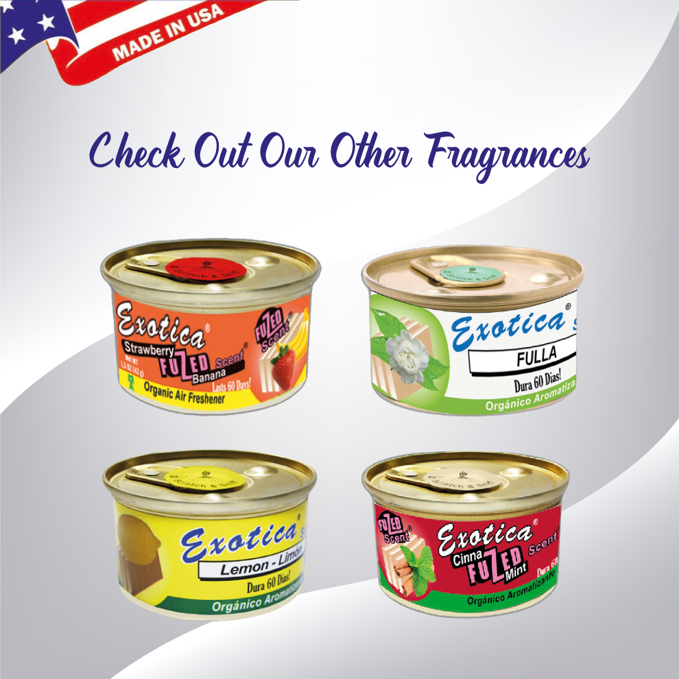 Exotica Car Air Freshener | Spill-proof Can | Organic | For Home & Auto | Long Lasting Freshness | (Pack of 12) (Fresh Spring)