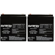 Razor E100 E125 E150 Electric Scooter Battery 12V 5AH - 2 Pack (This Will Not Fit The E100 Power Core)