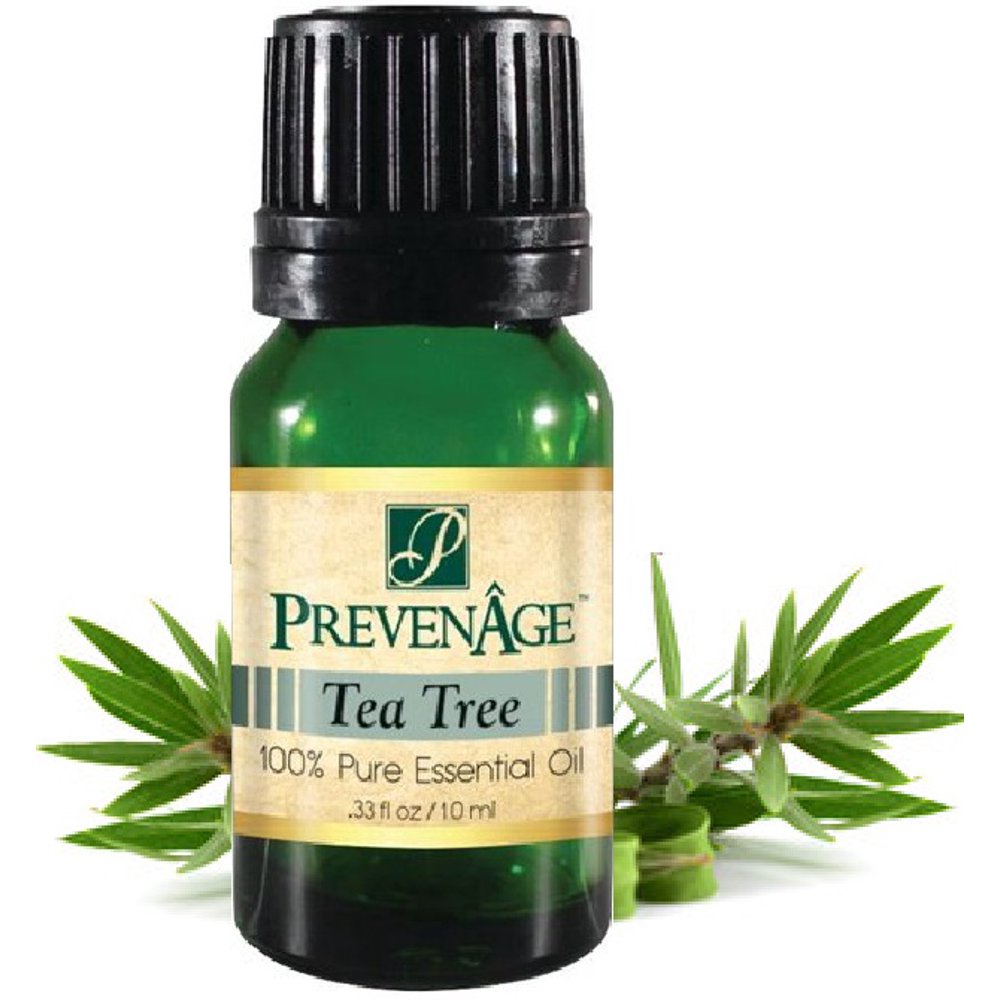 OUT OF STOCK Tea Tree Essential Oil Aromatherapy Made with 100 Pure