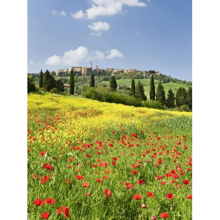 Hill Town Pienza and Field of Poppies, Tuscany, Italy Print Wall Art By Nadia