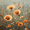 Spring Wildflower Field Art, variant on Qisvanset 12x16 Inch Maldives Seascape Canvas Wall Art, Tropical Ocean Panoramic Exotic Home Wall Decor