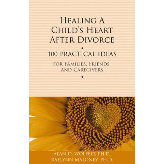 Pre-Owned Healing a Child's Heart After Divorce: 100 Practical Ideas for Families, Friends and Caregivers (Paperback) 1617221422 9781617221422