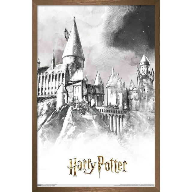 Le monde des sorciers : Harry Potter - Poudlard illustré
