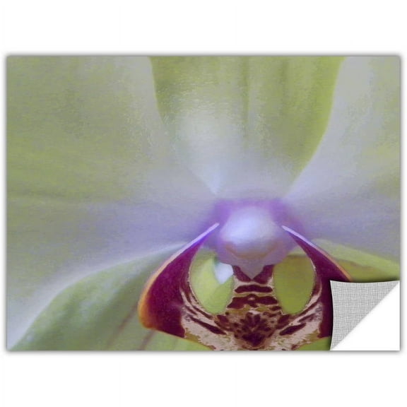 Artapeelz Dean Uhlinger "Impression Of Orchid" Removable Wall Art Graphic