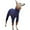 Blue, variant on UOSIA Autumn Thin Soft Warm Dog Onesie Jumpsuit Bodysuit High-Neck Stretchy Greyhound Underwear