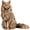 Cat, variant on Slccxzc Mini Brass Owl Knight Figurine Retro Bird Statue Collectible Desktop Decor