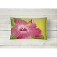 thumbnail image 2 of Carolines Treasures TMTR0317PW1216 Hot Pink Hibiscus by Malenda Trick Canvas Fabric Decorative Pillow, 12H x16W,, 2 of 3
