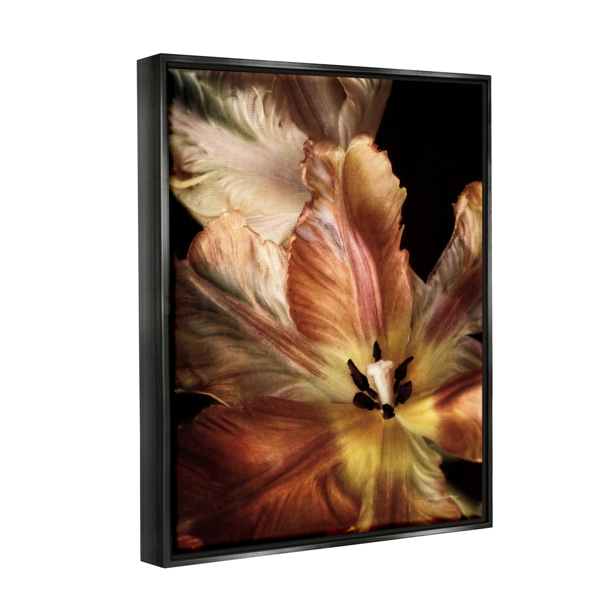 Stupell Industries Tulip Petals Detail Botanical & Floral Photography Black Floater Framed Art Print Wall Art, 17 x 21