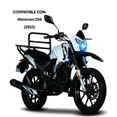 thumbnail image 3 of Balatas Del / Tras Moto Vento Workman250 Ryder3.0, 3 of 5