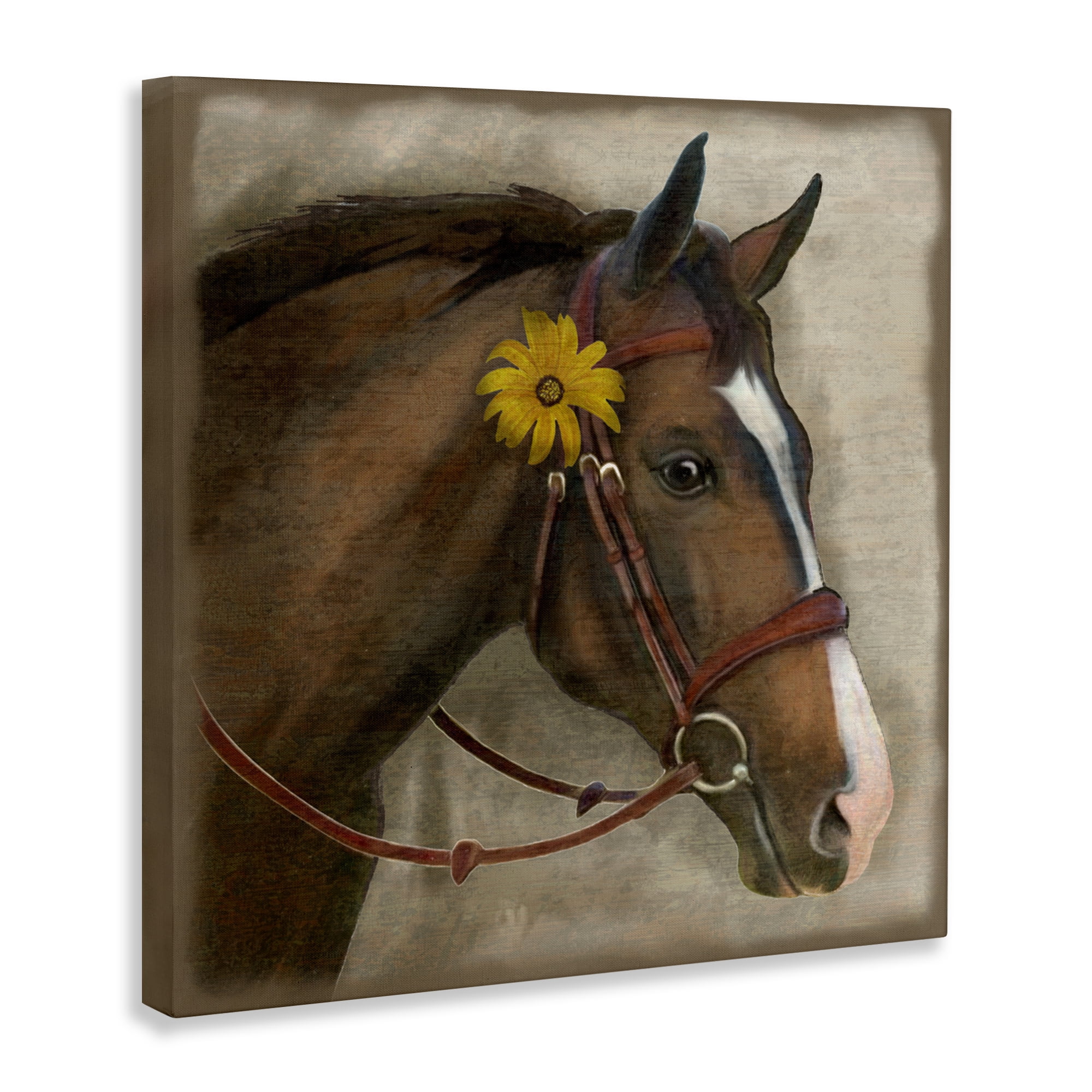 Stupell Industries Barnyard Horse with Daisy Canvas Wall Art, design by Suzanne Nicoll