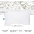 thumbnail image 2 of East Coast Bedding Goose Down Feather Pillows Medium Support 100% Cotton 300TC Pack of 2, Queen Size 20x30 Inch, 2 of 8