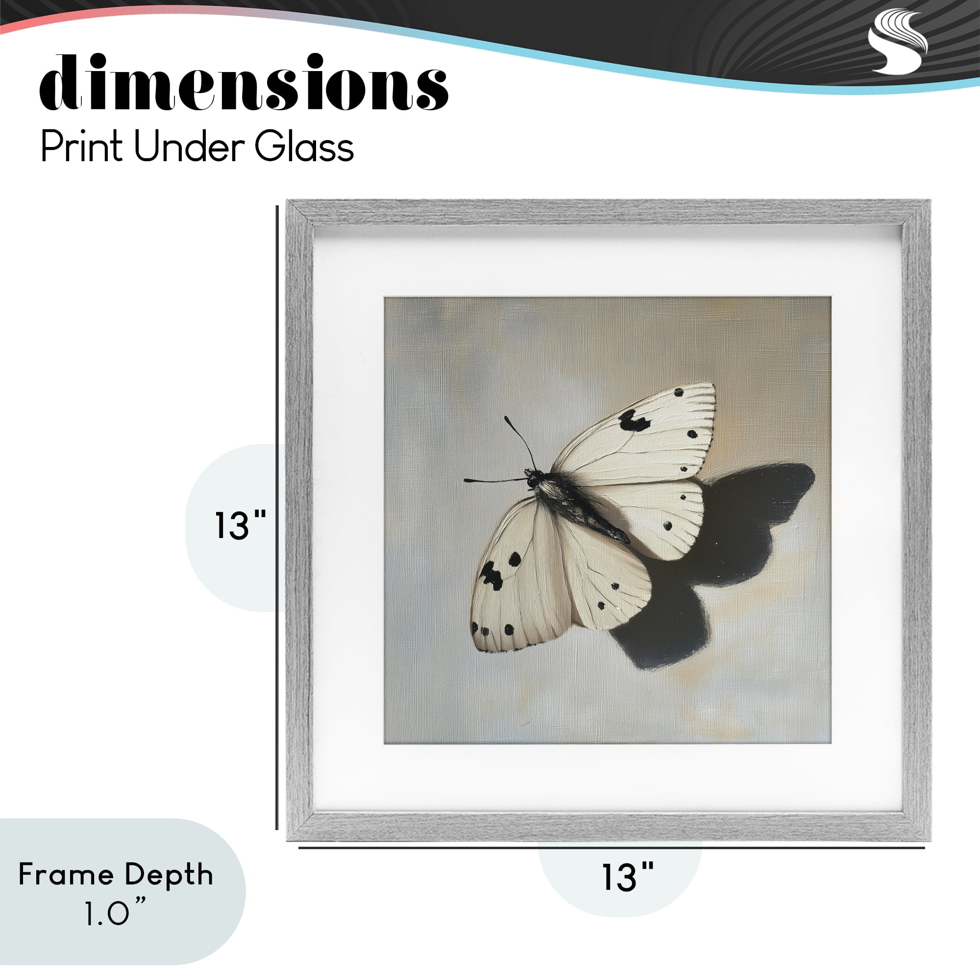 Stupell Industries Velvet's Butterfly Wings Gray Framed Print Under Glass, design by Svetlana Aleynikova