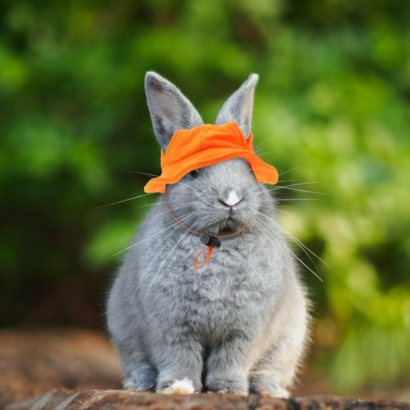 Soimiss Small Animals Hat Bunny Hat Rabbit Hat With Adjustable Chin Strap Ear Holes Pet Clothes For Guinea Pig Bunny Chinchilla 1 Set