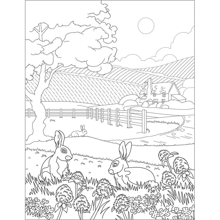 Bird Dreamland Coloring Book Secret Garden Style Painting Book Relieve  Stress Graffiti Drawing Book For Adults Children