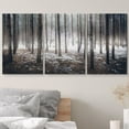 thumbnail image 3 of wall26 Canvas Print Wall Art Set Spooky Misty Winter Snow &amp; Tree Forest Nature Wilderness Photography Realism Rustic Scenic Colorful Multicolor for Living Room, Bedroom, Office - 16"x24&quot, 3 of 5