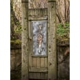 thumbnail image 4 of ABPHOTO Polyester 5x7ft Ancient Wood Door Photography Background Dead tree Giraffe Pattern Backdrop Studio Background Props Wall, 4 of 5