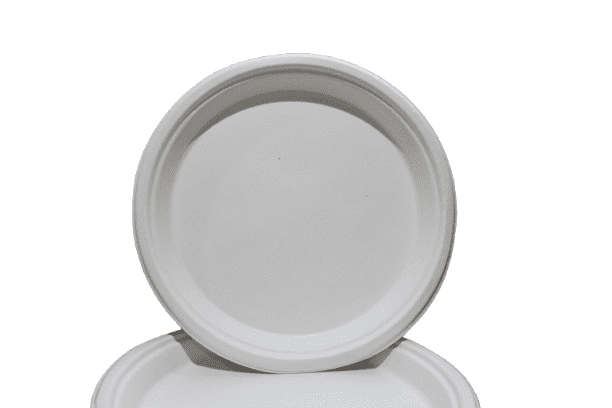 12" Round Plate, Compostable, Sugarcane Bagasse, Heavy Duty Disposable Plates for Party, BBQ, Picnic, Catering Pack of 100