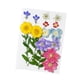 thumbnail image 3 of Flores secas prensadas Macarena manualidades DIY, 3 of 8
