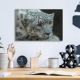 thumbnail image 4 of Epic Art 'Snow Leopard Closeup' by Enright, Acrylic Glass Wall Art, 16"x12", 4 of 8