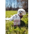 thumbnail image 3 of Breedwise Pet Provisions 2-Piece Natural Dog Grooming Bundle, Sweet Pea & Vanilla Scent, Includes Shampoo & Conditioner, 3 of 6