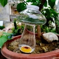 thumbnail image 4 of Piezas Botella de Riego Cono 300ML, Bola de Arcilla para Plantas de Interior, Sistemas de Riego Automático para Macetas, Dispensador de Agua Plantas Riego Bolas Transparentes de Vacaciones (Seta), 4 of 5