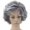 Gray, variant on Grey Wig Women Synthetic Curly Short Wig, Natural Look, Heat Resistant Fiber, Adjustable Cap, 12" Length,