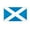 Scotland 3x5 ft Polyester Flag, variant on AGAS Small Scotland Flag 12x18 inch - 24 inch Wood Pole Polyester Fabric Double Stitched Handheld Mini Scottish Flag on Stick