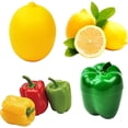 thumbnail image 2 of QJUHUNG 1/5pcs  Plastic Vegetables Lemon Fresh Keeping Bowl Boxed Set  Onion Garlic Sealed Box  Green Pepper Saver  Onion And Garlic Storage Container  Tomato And Lemon Keeper  Refrigerat, 2 of 7