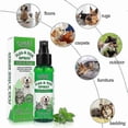 thumbnail image 4 of Spray contra pulgas y garrapatas | 100 % natural, sin alérgenos, ecológico para perros y gatos, 4 of 4