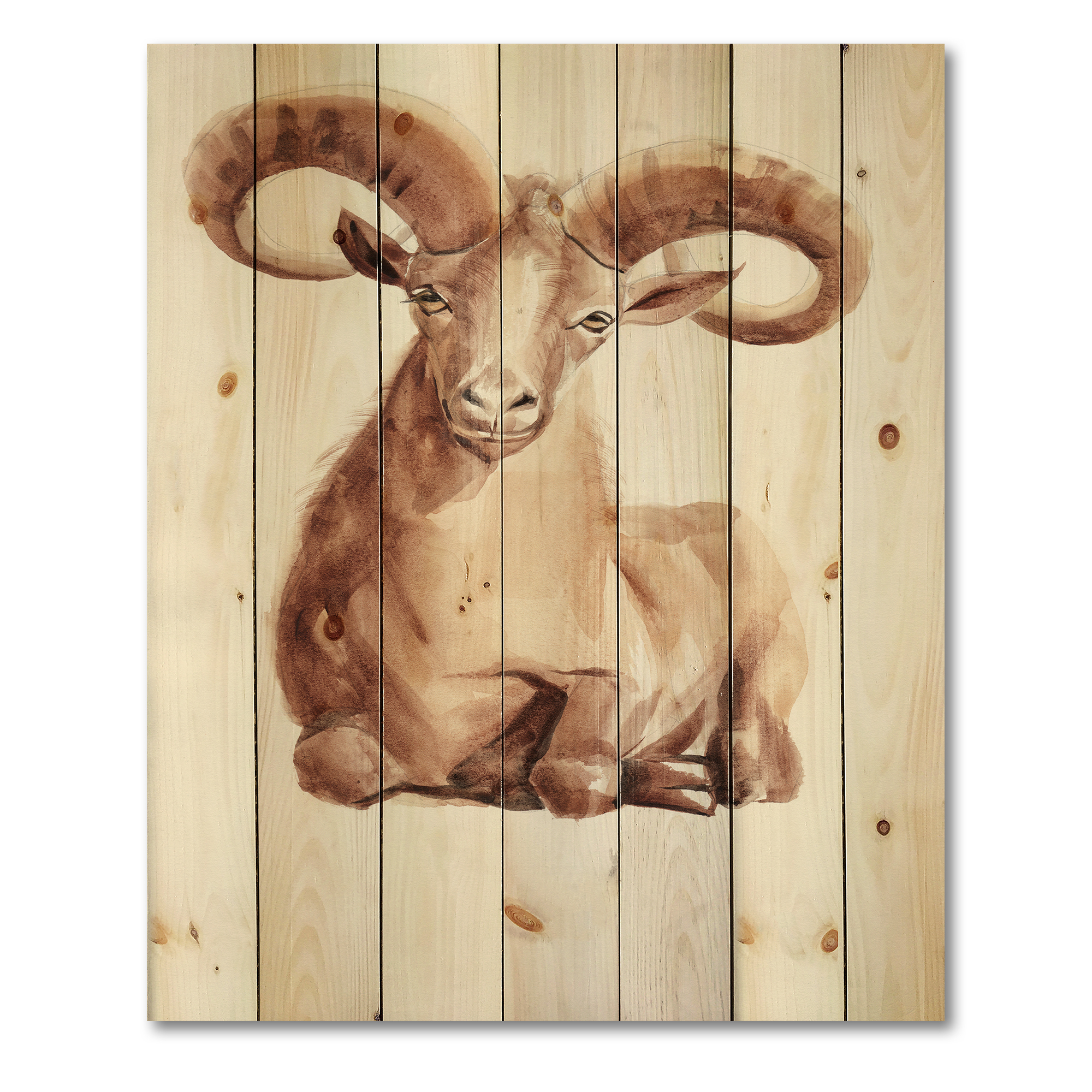 Designart 'Abstract Portrait of Wild Ram With Mighty Horns II' Farmhouse Print on Natural Pine Wood