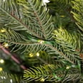 thumbnail image 6 of Northlight Real Touch™️ Pre-Lit Full Oregon Noble Fir Artificial Christmas Tree - 6.5' - Warm White, 6 of 9