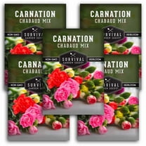 5 Packs Chabaud Mix Carnation Seed - Dianthus Caryophyllus - Non-GMO Heirloom Perennial Full Sun