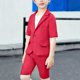 thumbnail image 4 of Odeerbi Niños Vestido Formal Traje Manga Corta Muesca Solapa Blazer Chaqueta + Elástico de La Cintura Traje Pantalones Cortos Trajes de Verano Conjunto, 4 of 6