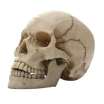 Human Skull Statue for Home Decor Resin Figurines Halloween Decor Sculpture Medical Teaching Sketch Model