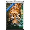 thumbnail image 2 of Tigre - Eau, 2 of 4