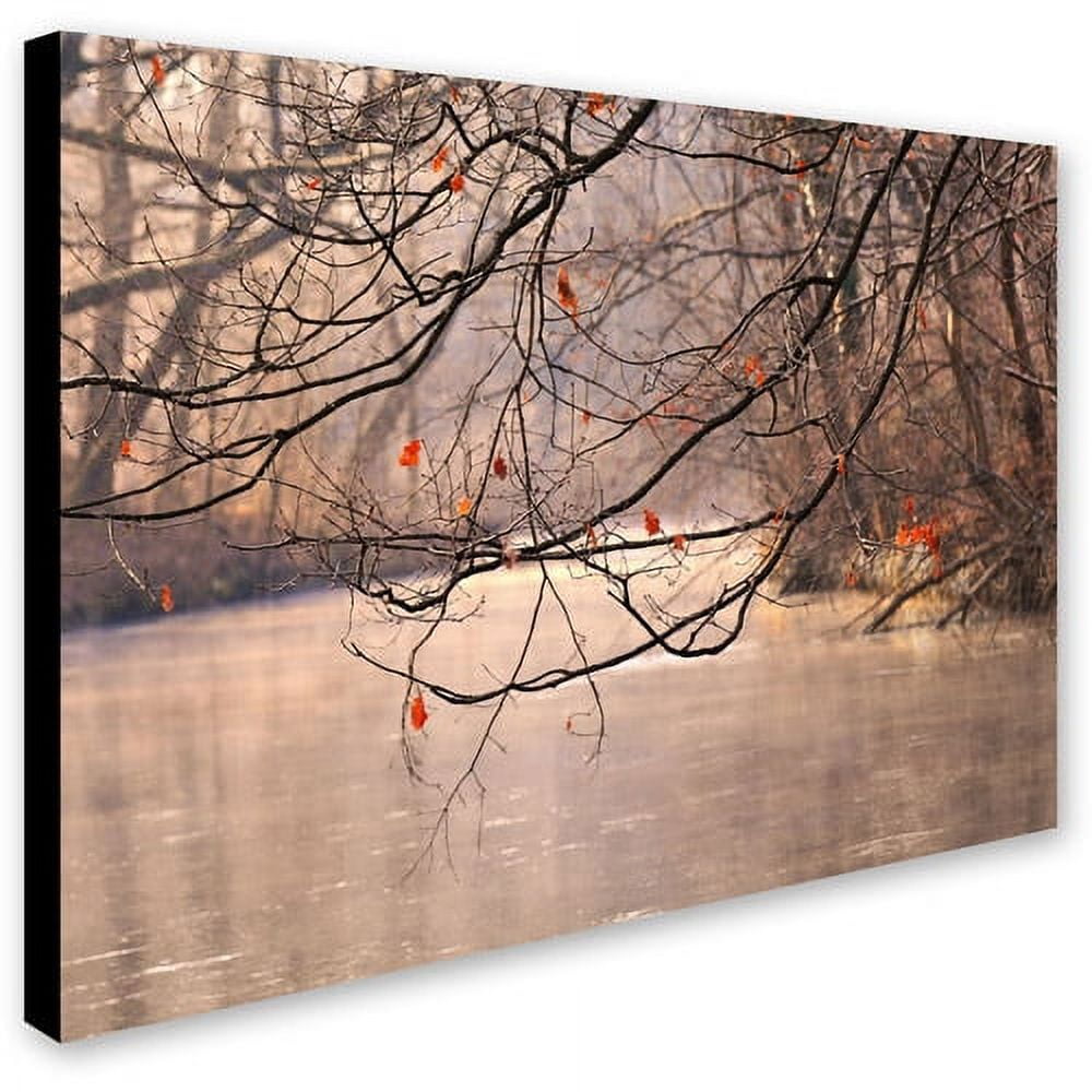 Trademark Fine Art "Skylight" Canvas Art by Philippe Sainte-Laudy