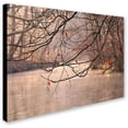 thumbnail image 2 of Trademark Fine Art "Skylight" Canvas Art by Philippe Sainte-Laudy, 2 of 2