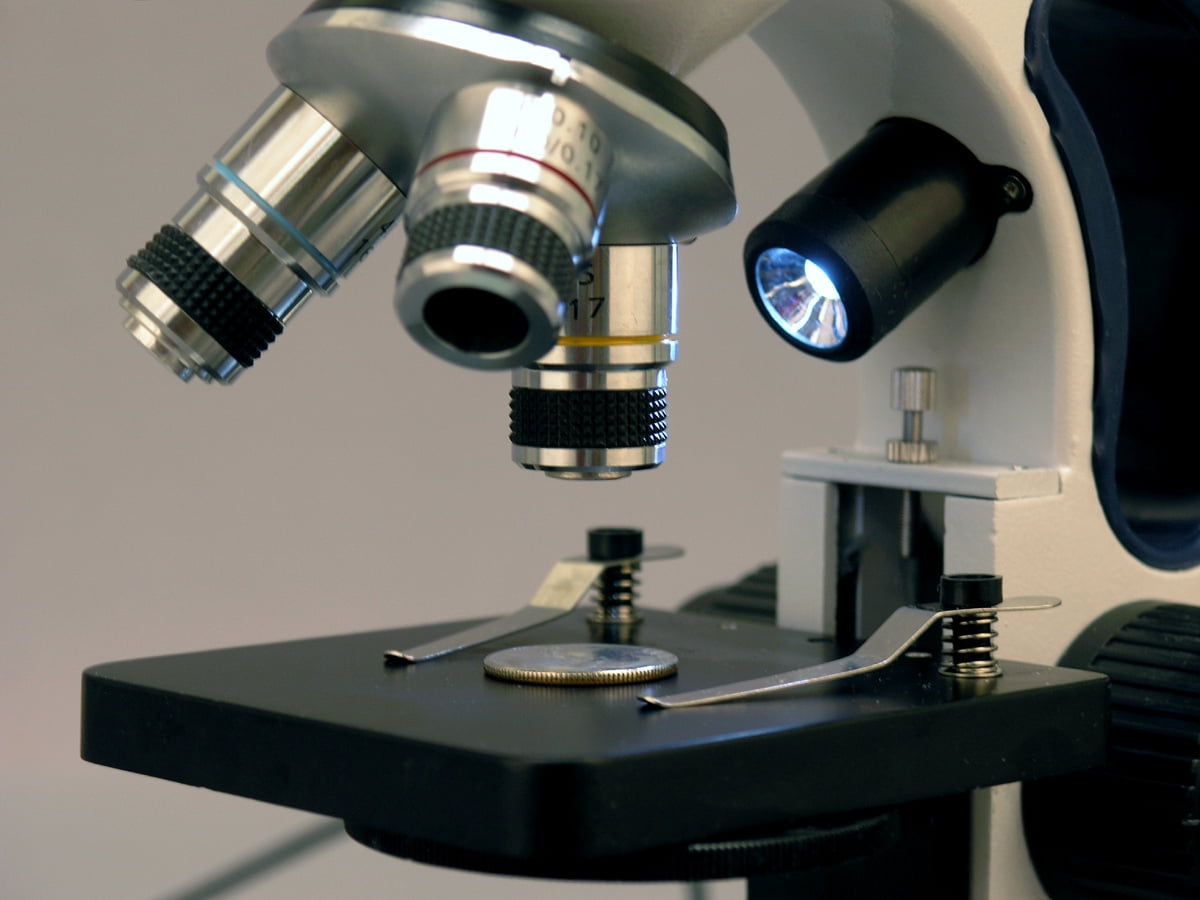 Rheostat In Microscope Parts Of A Compound Light Microscope Rheostat
