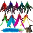 thumbnail image 1 of Recambios de juguete con plumas de gato CATENESS para gatos y varitas, 1 of 1