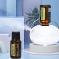 thumbnail image 4 of Inteprter Mini generador de niebla eléctrica, difusor de fragancia de aceite puro, máquina de Aroma portátil bonita, ambientador para oficina, Aromaterapia y Aceites Esenciales, 4 of 6