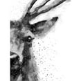 thumbnail image 3 of Wong, Brandon 15x18 Black Modern Framed Museum Art Print Titled - Deer At Attention, 3 of 5