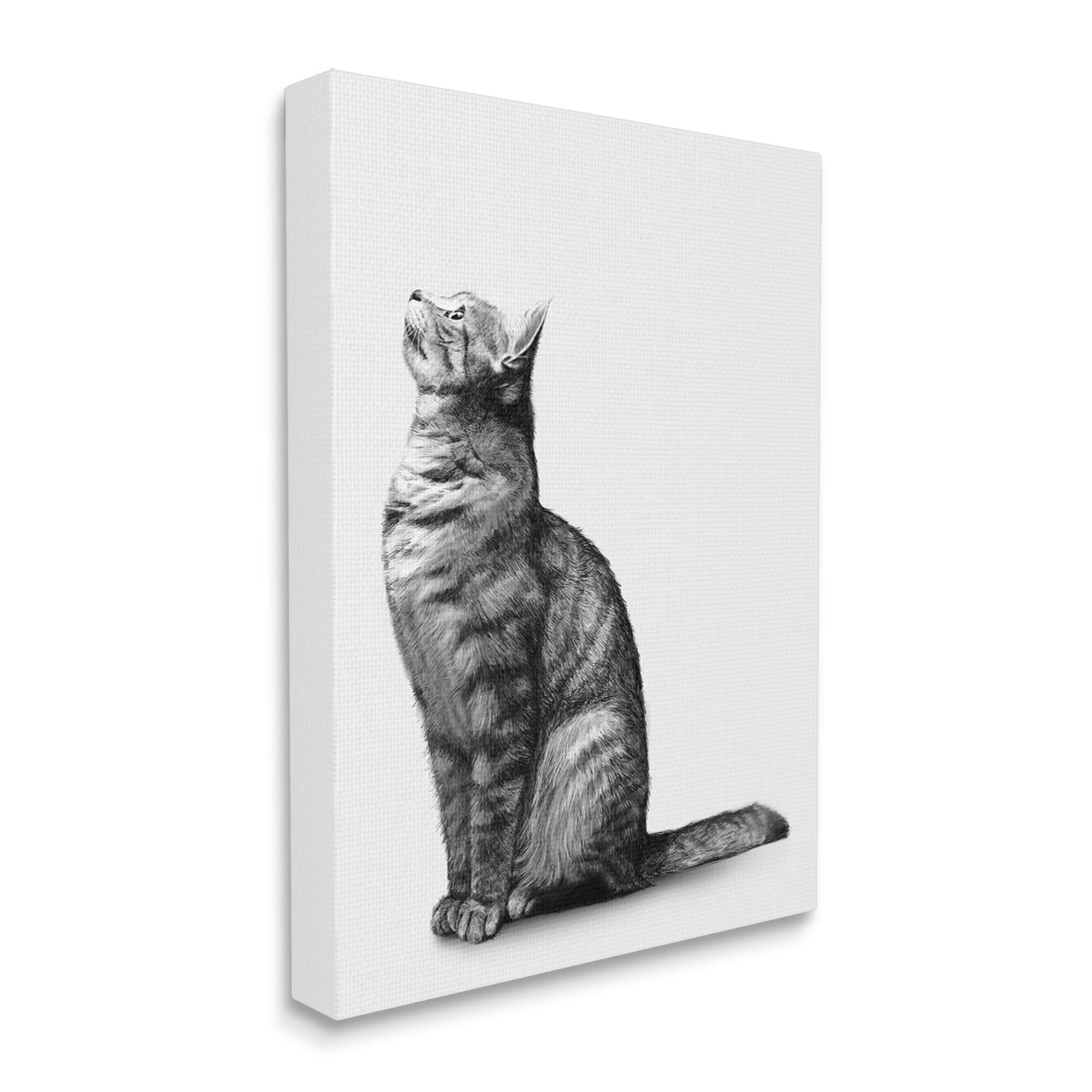 Stupell Industries Manx Cat Sitting Calmly Detailed Casual Portrait Graphic Art Gallery Wrapped Canvas Print Wall Art, Design by Ziwei Li