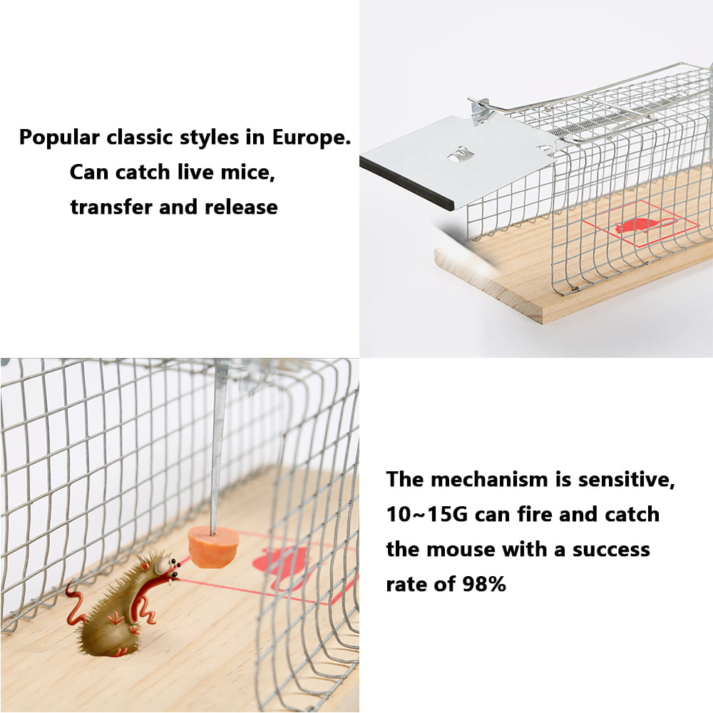 1 lllteri Humane Mouse Traps, Catch& Release, Reusable Rat Traps, Easy to  Set and Safe for Family and Pets, No Kill for Small Rode