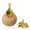 XL, variant on Hanging Vegetable Fruit Baskets, Boho Wall Hanging Basket, Jute Handwoven Hanging Holder Teardrop Basket for Fruits Vegetable Potato Onion Storage, Bohemian Decor Basket