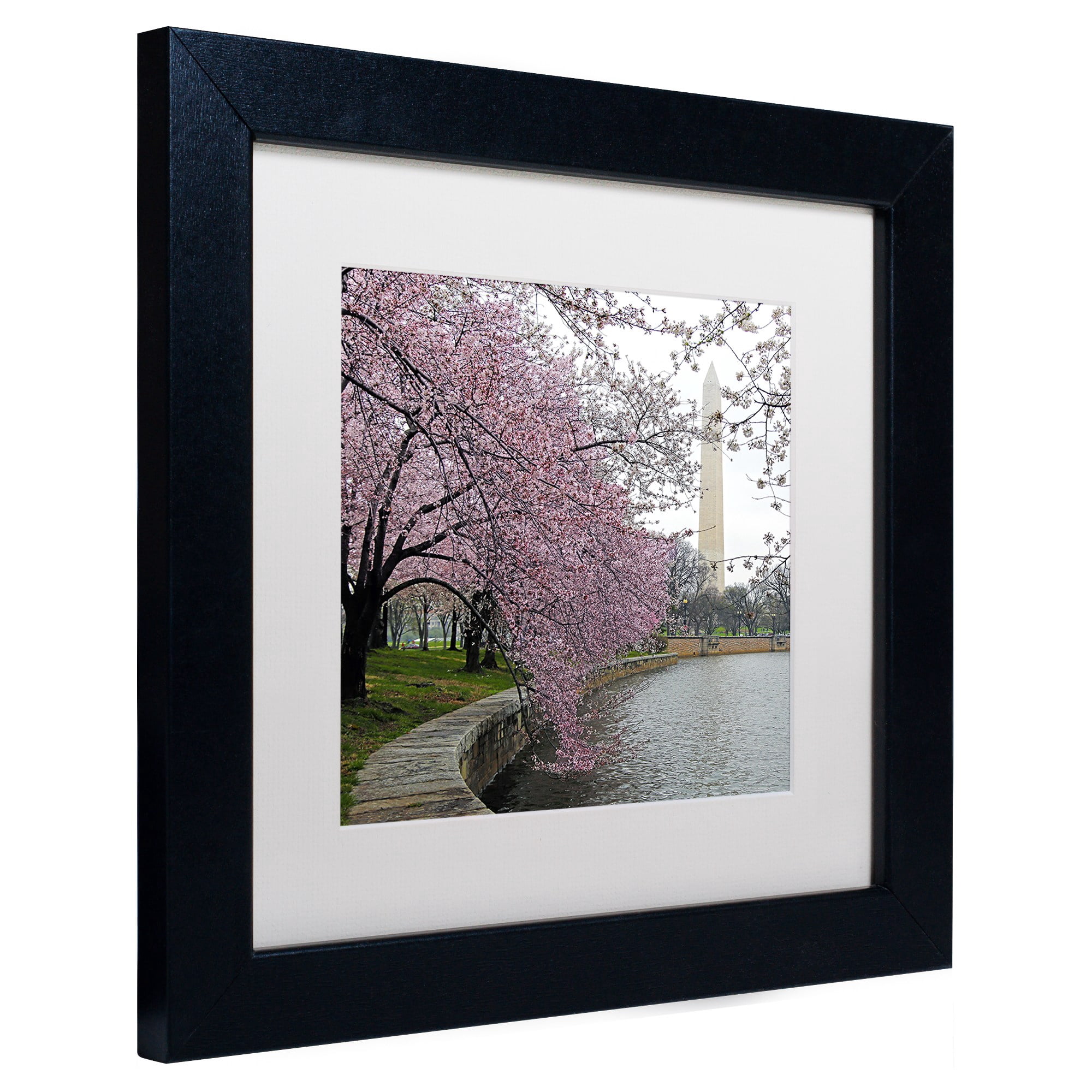 "Washington Blossoms" Canvas Art by CATeyes, White Matte, Black Frame