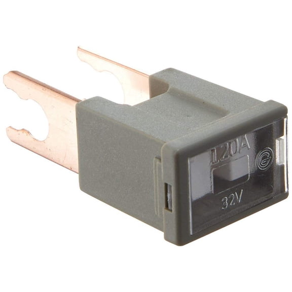 Bussmann FLM-120 (1 EACH)