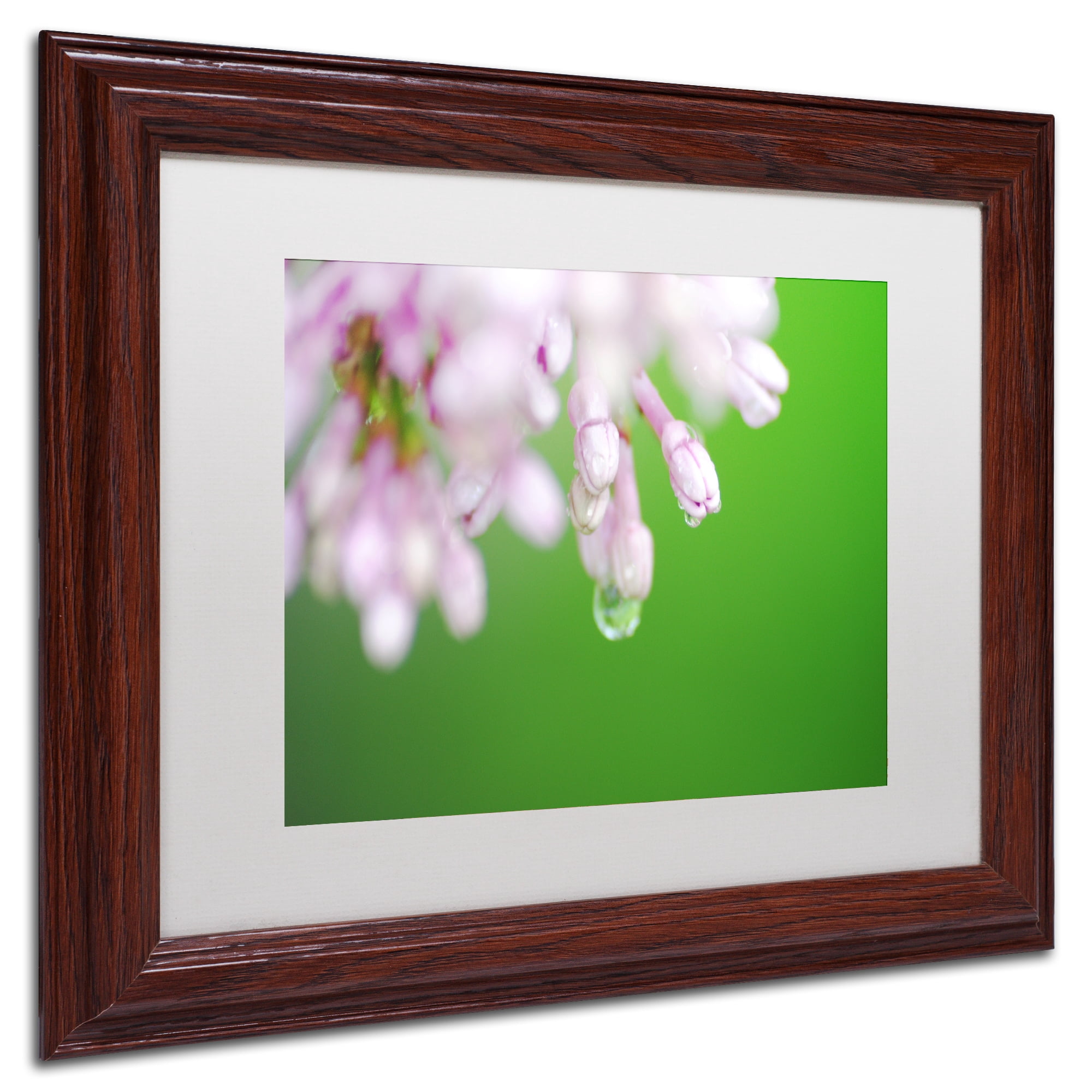 Trademark Fine Art "Pure" Canvas Art by Monica Mize, White Matte, Wood Frame